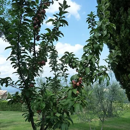 Agriturismo La Forra * Cavriglia