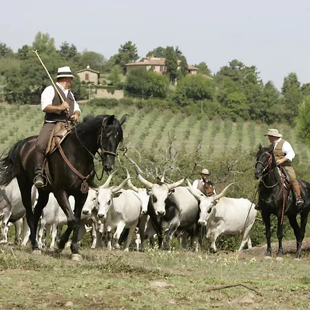 Séjour à la ferme Agriturismo La Forra