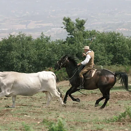 Bauernhof Agri La Forra Cavriglia