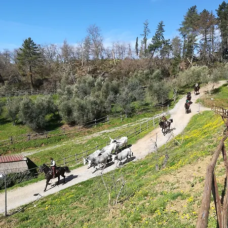 Agri La Forra Bauernhof Cavriglia